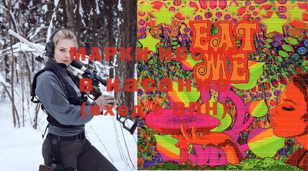 шишки Снежногорск
