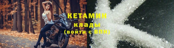 шишки Снежногорск