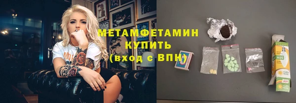 шишки Снежногорск
