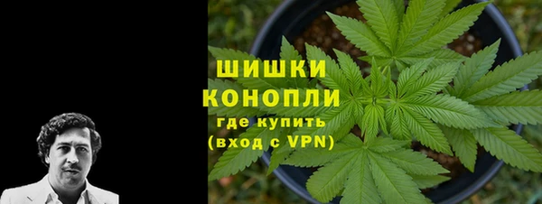 шишки Снежногорск