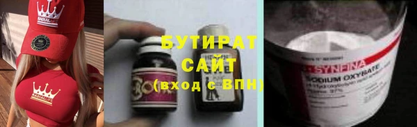 шишки Снежногорск