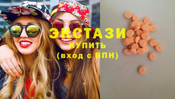 шишки Снежногорск
