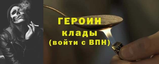 шишки Снежногорск