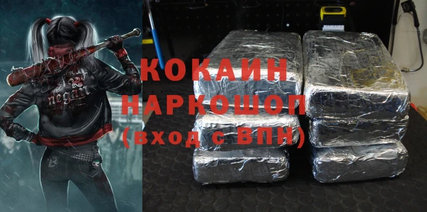 шишки Снежногорск
