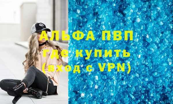 шишки Снежногорск