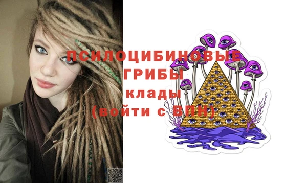 гидра Снежинск