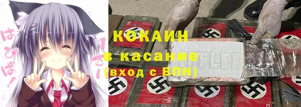 шишки Снежногорск
