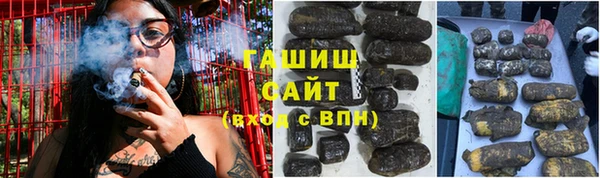 шишки Снежногорск